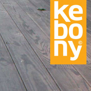 Kebony – Fra Idé Til Industrialisering