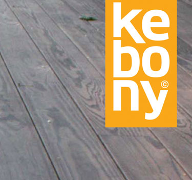 Kebony – Fra Idé Til Industrialisering
